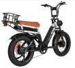 2000W 50 km/h LCD load 100kg climb 15¬∞ power range 90-100km LED (turn signal, taillight) - PSDP-2033