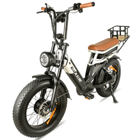 2000W 50 km/h LCD load 100kg climb 15¬∞ power range 90-100km LED (turn signal, taillight) - PSDP-2033