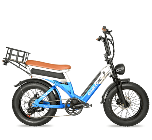 2000W 50 km/h LCD load 100kg climb 15¬∞ power range 90-100km LED (turn signal, taillight) - PSDP-2033Blue