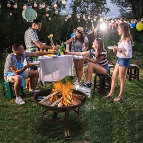 22" Curved Feet Iron Brazier Wood Burning Fire Pit Decoration for Backyard Poolside - Black