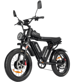 Dual Motor E-bike 2000W 52V 40Ah Fat Tire E-bike - BLACK